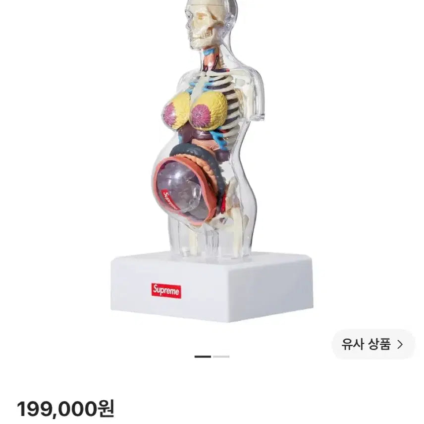 [BUNJANG] Supreme Female Anatomy Model Clear 18FW / (OS) 슈프림 피메일 아나토미 모델 클리어 해부학 여성 18FW