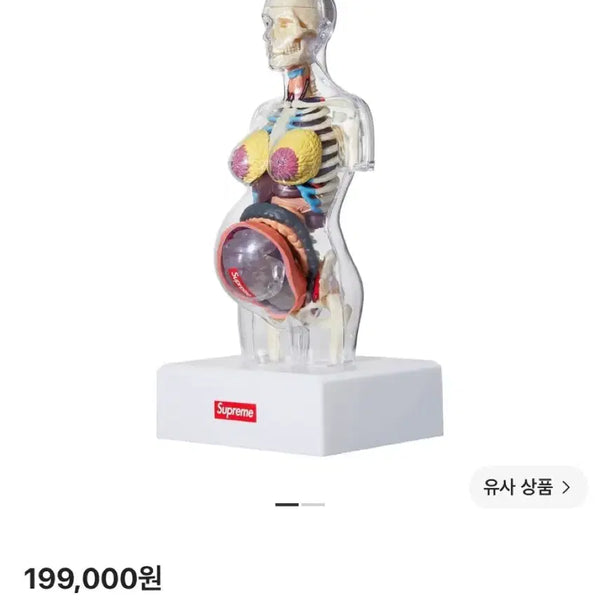 [BUNJANG] Supreme Female Anatomy Model Clear 18FW / (OS) 슈프림 피메일 아나토미 모델 클리어 해부학 여성 18FW
