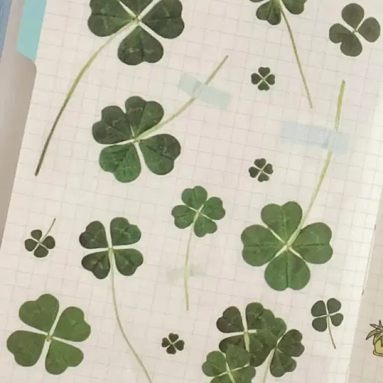 [BUNJANG] Komameringo Four-Leaf Clover Fresh Flower Kiss Cut Sticker Set / 코마메링고 네잎클로버 생화 키스컷