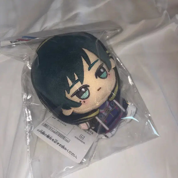 [BUNJANG] Blue Lock Isagi Yoichi Chibi Nui Chibi Gummy Doll / 블루록 이토시 린 인형 치비누이 치비구루미