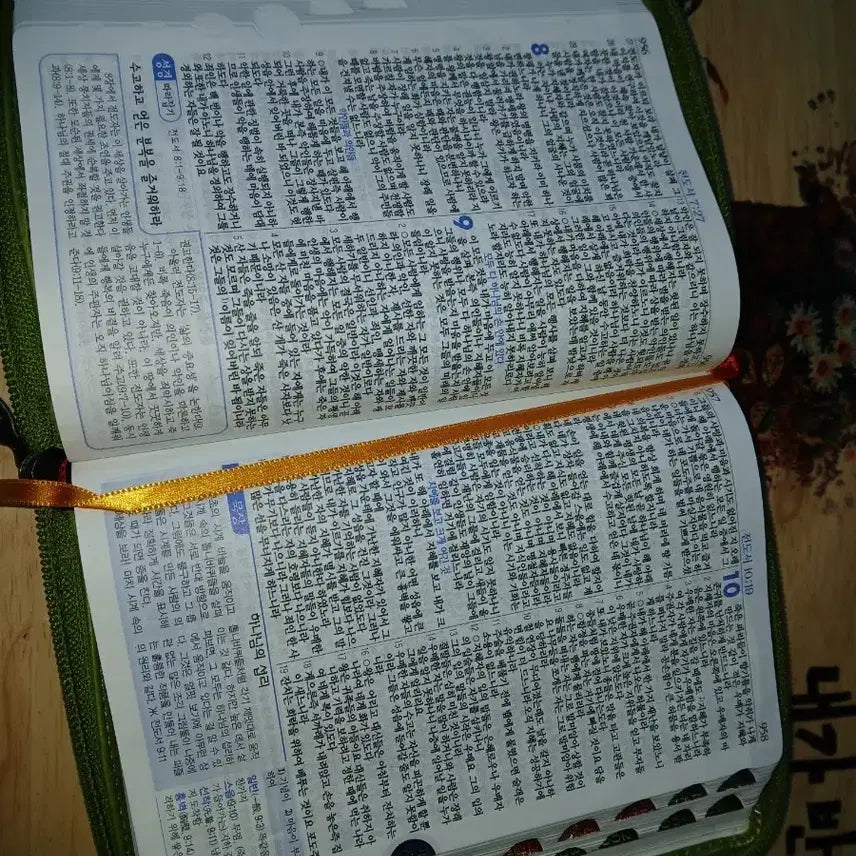 [BUNJANG] Revised Version Korean Bible - Green Cover / 내부아주깨끗한성경책 성경전서 개역개정판 녹색