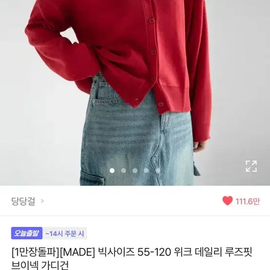 [BUNJANG] Plus Size Women's Clothing Bundle / 빅사이즈 여성 옷들