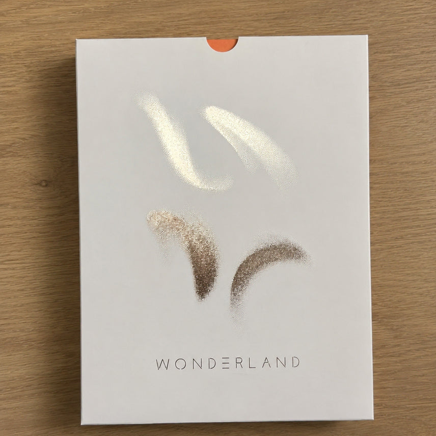 [BUNJANG] Wonderland Movie Art Book Full Set / 박보검 수지 최우식 영화 원더랜드 작품집 풀세트
