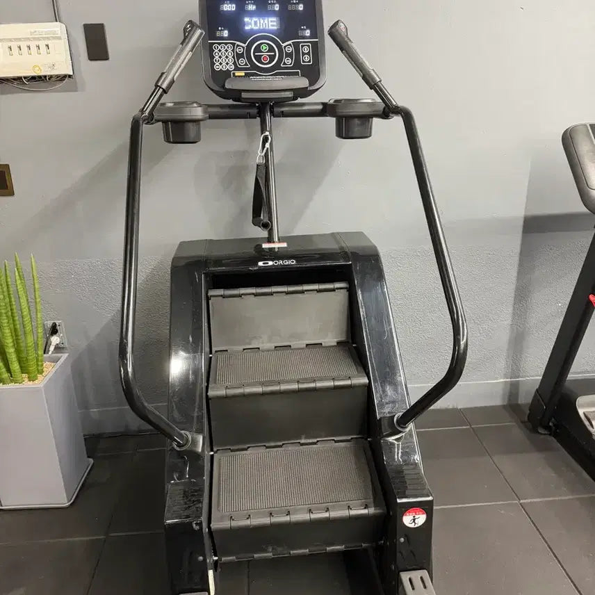 [BUNJANG] Orgo Orgeu Stairway to Heaven Home Gym Equipment / 오르고 오르지오 천국의계단