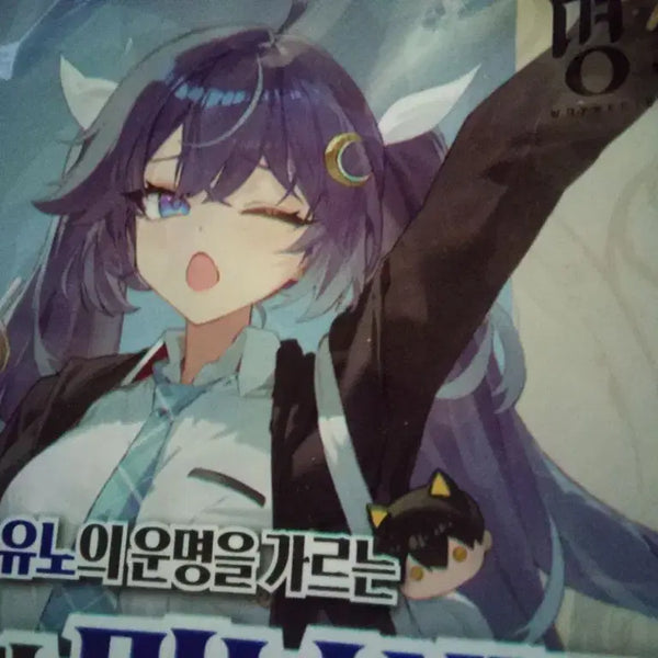 [BUNJANG] Various Anime & Game Merchandise - Collectibles, Films, Posters, and More / 명조 초희귀 일러스트 포장비닐 치사,유노,블루아카이브,체인소맨