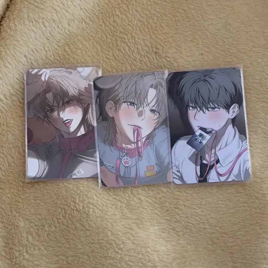 [BUNJANG] Bundle Set Photocard / 일괄 미블 사반불 사반품 사용후반품불가 포카 양도