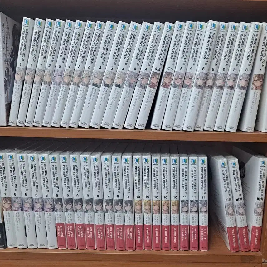 [BUNJANG] Tokyopop Russian Girlfriend: Volume 1-11, 11.5 (Sealed) / 가끔씩 툭하고 러시아어로 부끄러워하는 옆자리의 아랴양 1~11,11.5포함 미개봉