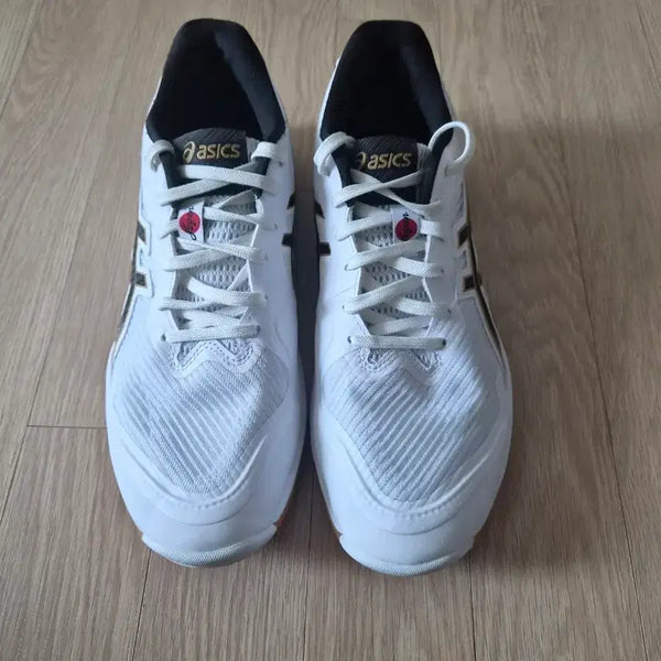 [BUNJANG] ASICS Rote Japan 250 Volleyball Shoes / 체대입시화,배구화 로테 재팬 250