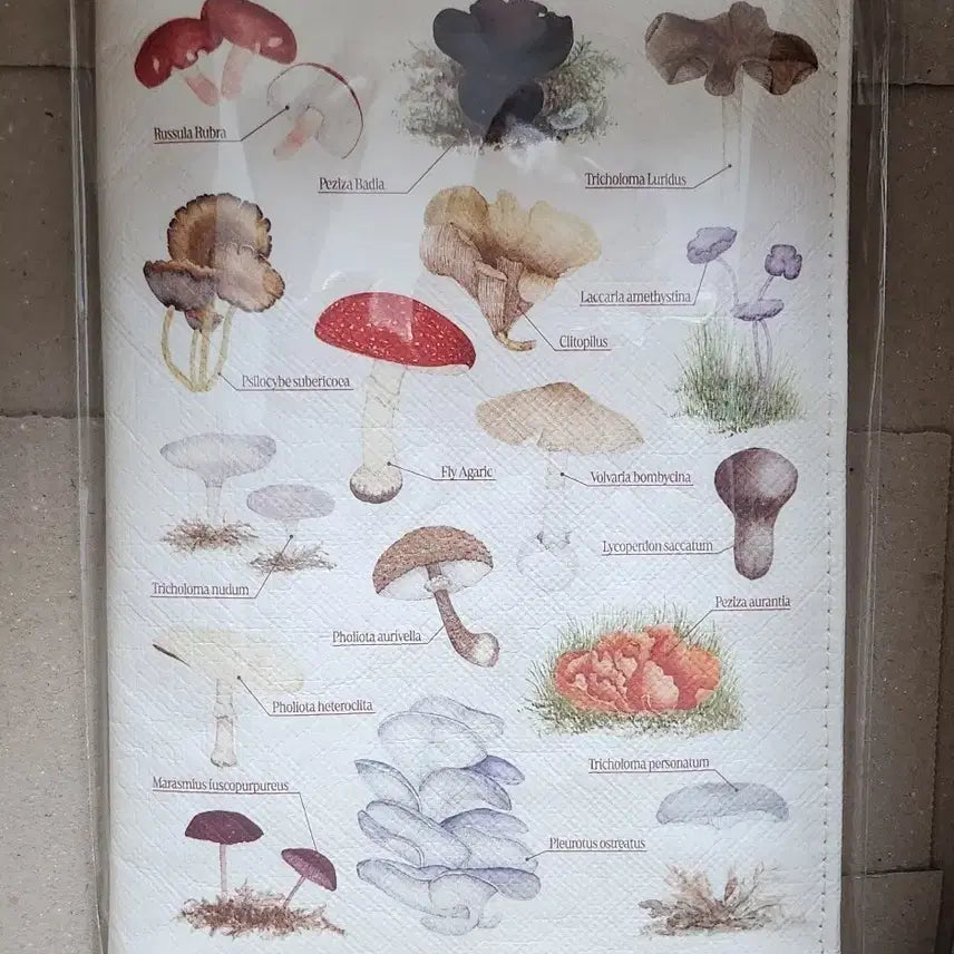 [BUNJANG] London Natural History Museum Book Cover (Mushroom, Aladdin Goods) / 런던자연사박물관 북커버 (버섯, 알라딘 굿즈)
