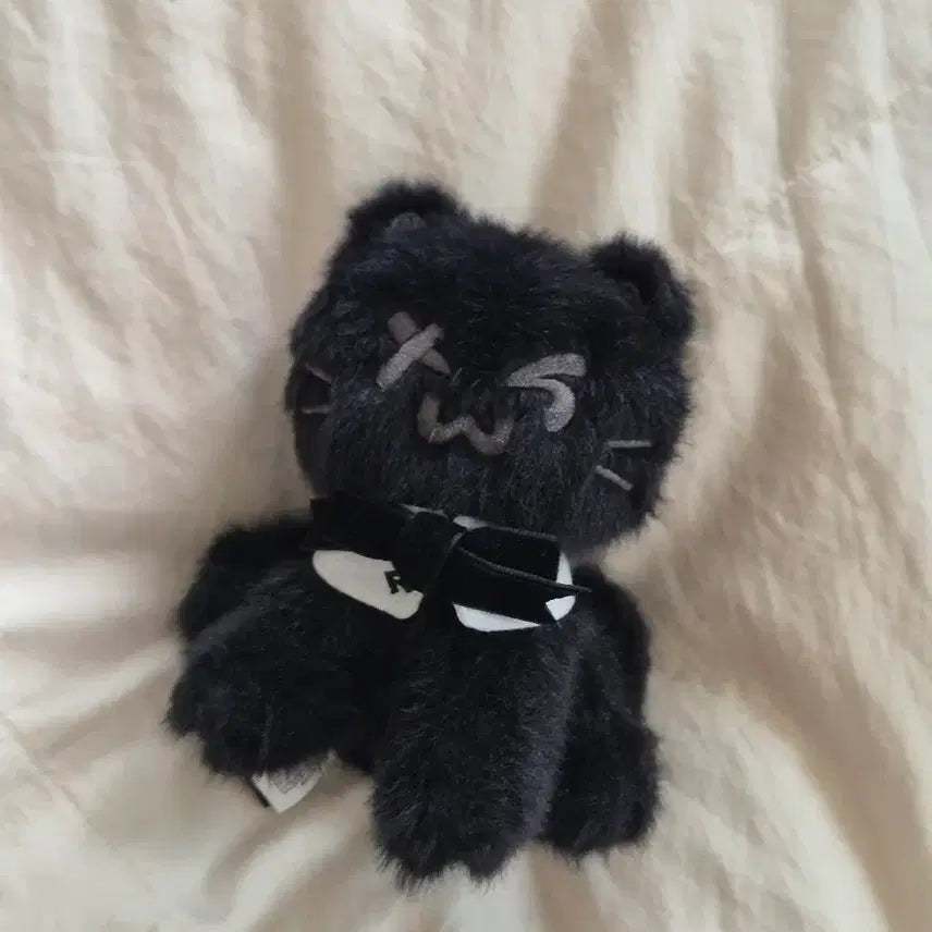 [BUNJANG] TWS Romeo Cat Plush Doll / 투어스 투냥이 로미오 캣 인형 판매