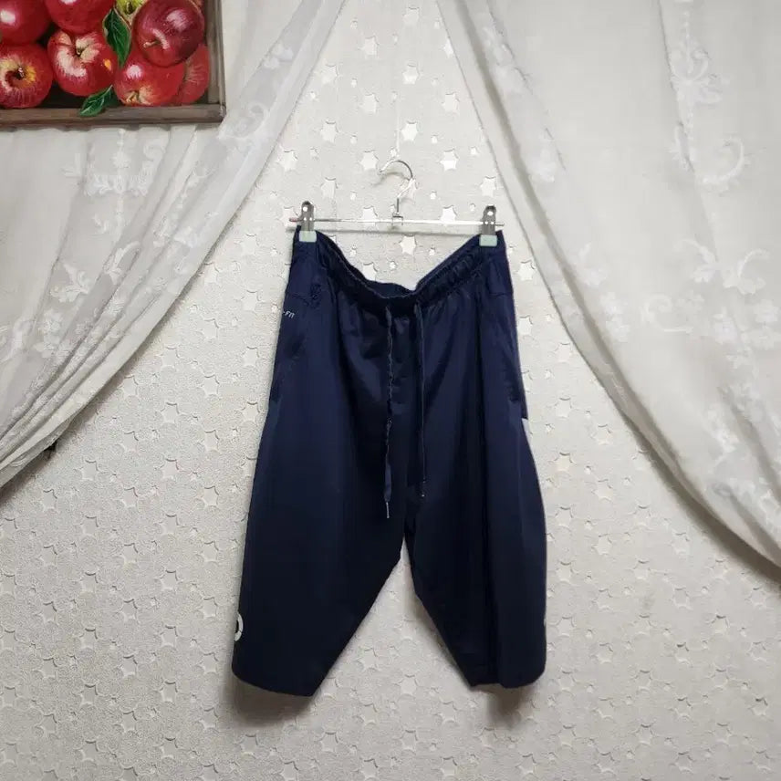 [BUNJANG] Nike Men's Shorts / 나이키 반바지 남성100