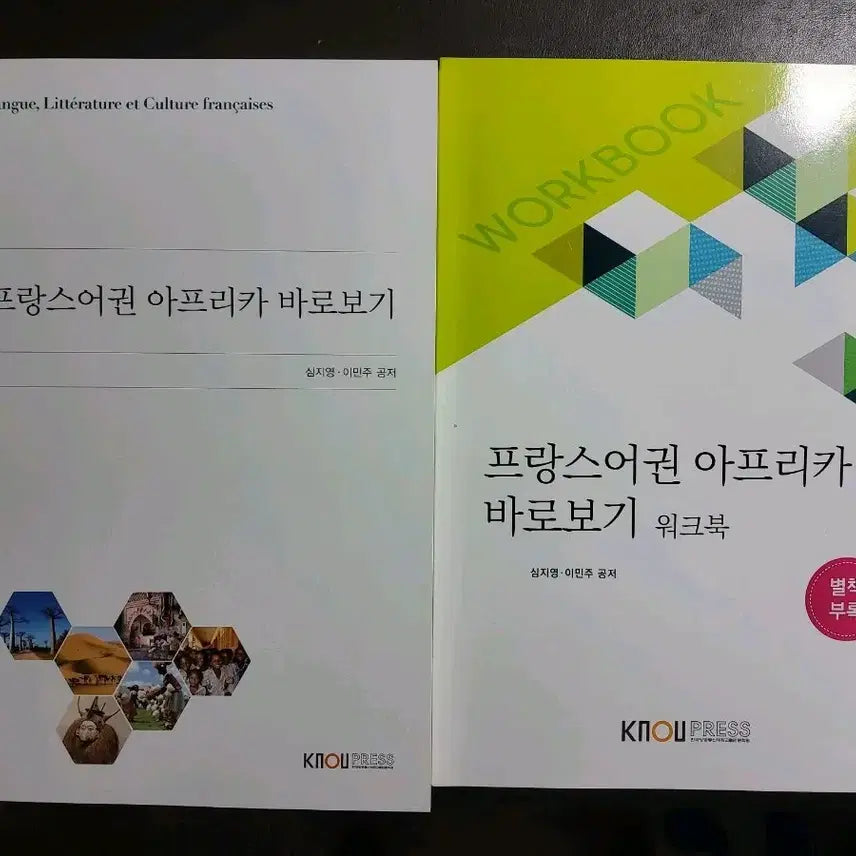[BUNJANG] Francophone Africa Textbook / 방통대 전공책 프랑스어권 아프리카 바로가기