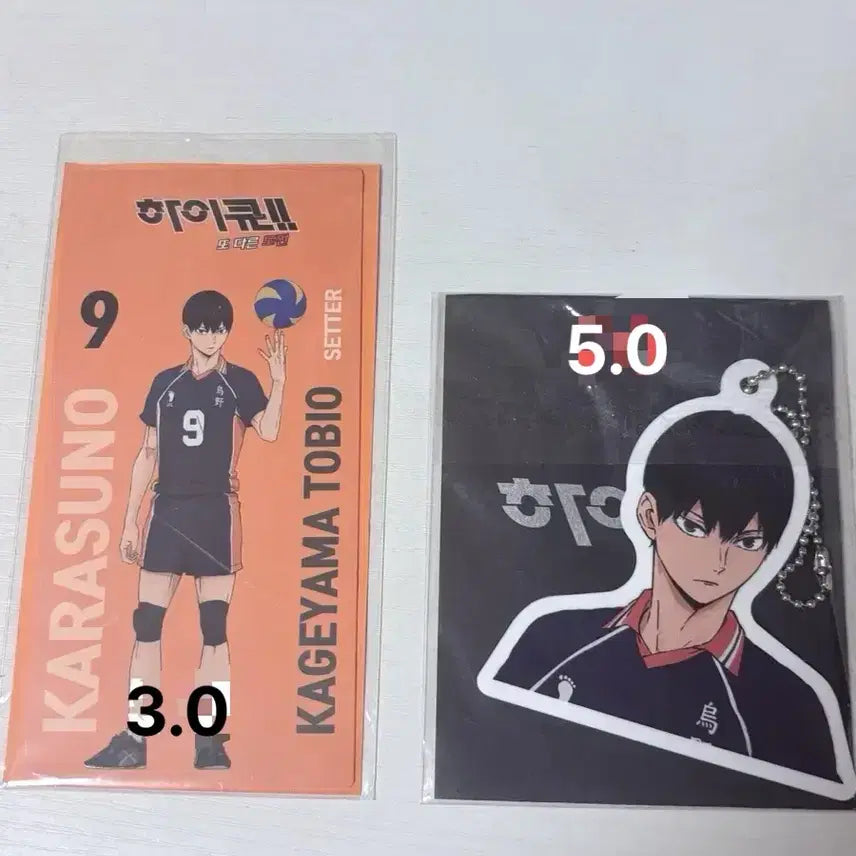 [BUNJANG] Haikyuu!! Kageyama Tobio Movie Exclusive Poster (POB) / 하이큐 카게야마 극장판 특전