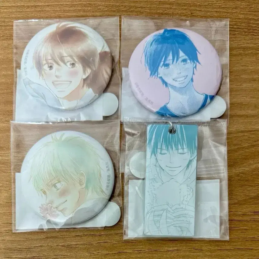 [BUNJANG] Kimi ni Todoke Kazehaaya D & E Prize Badges & Keyrings Set / 너에게 닿기를 너닿 쿠지 뱃지 벳지 키링 카제하야 D상 E상