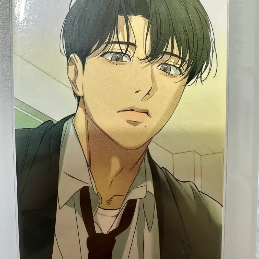 [BUNJANG] Sealed Baeklight Photocard / 백라이트 포카 양도