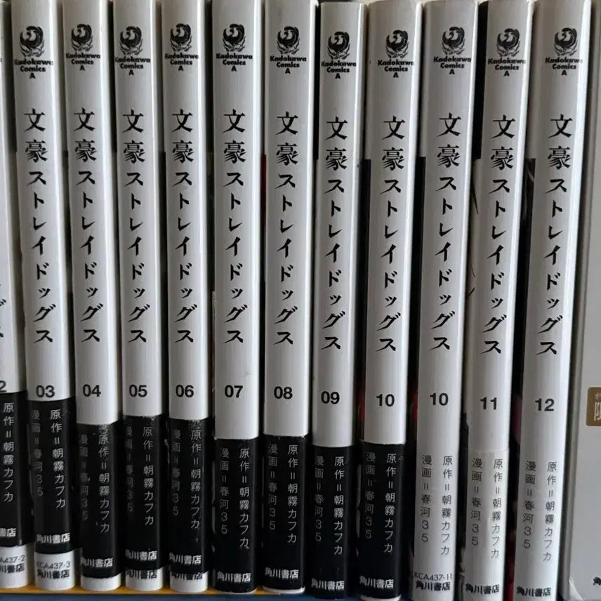 [BUNJANG] Bungo Stray Dogs Manga Japanese Original 1-13 Limited Edition / 문호 스트레이독스 만화책 1~12권+13권 한정판 일본어 원서