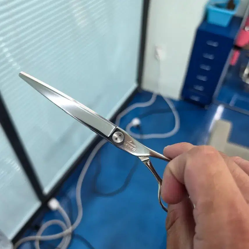 [BUNJANG] Dogynon Seven Professional Hairdressing Scissors / 도기논 세븐 가위
