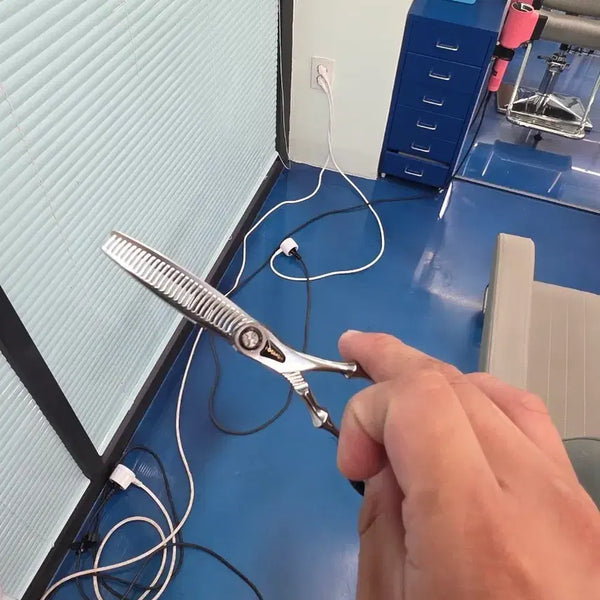 [BUNJANG] DoggyNhon NeoQueen 20% Thinning Scissors / 도기논 네오퀸 틴닝가위