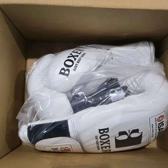 [BUNJANG] Isami 12oz Boxing Gloves / 새상품 ) 이사미 12온스 글러브