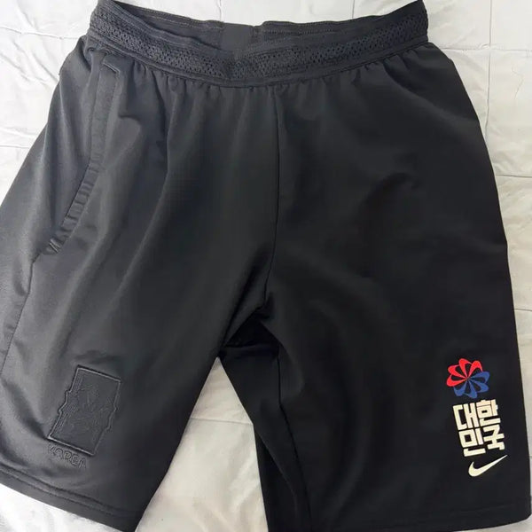 [BUNJANG] Nike South Korea National Team Dri-Fit Shorts (Size L) / 나이키 대한민국 국가대표 드라이핏 쇼츠 L사이즈 판매(상태좋음)