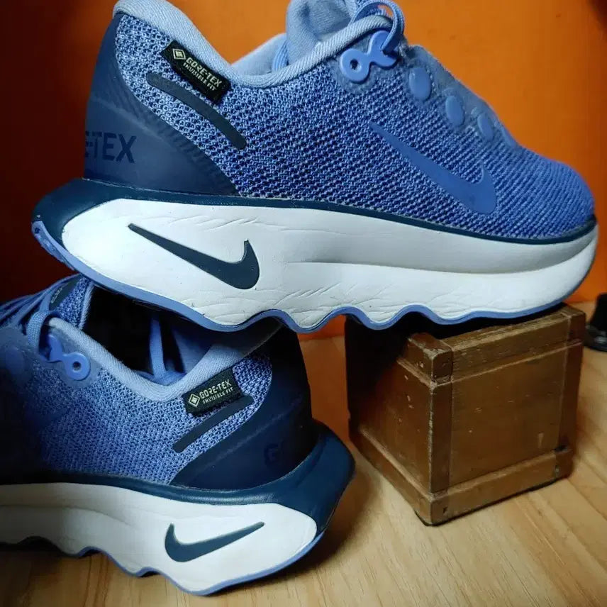 [BUNJANG] Nike Motiva Gore-Tex Running Shoes (Tag 240mm, Recommended 235mm) / (3회사용)나이키 모티바 고어텍스(표기240 추천사이즈235)