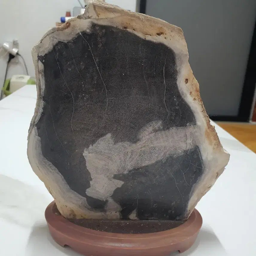 [BUNJANG] Petrified Wood Fossil with Stand / 수석- 규화목