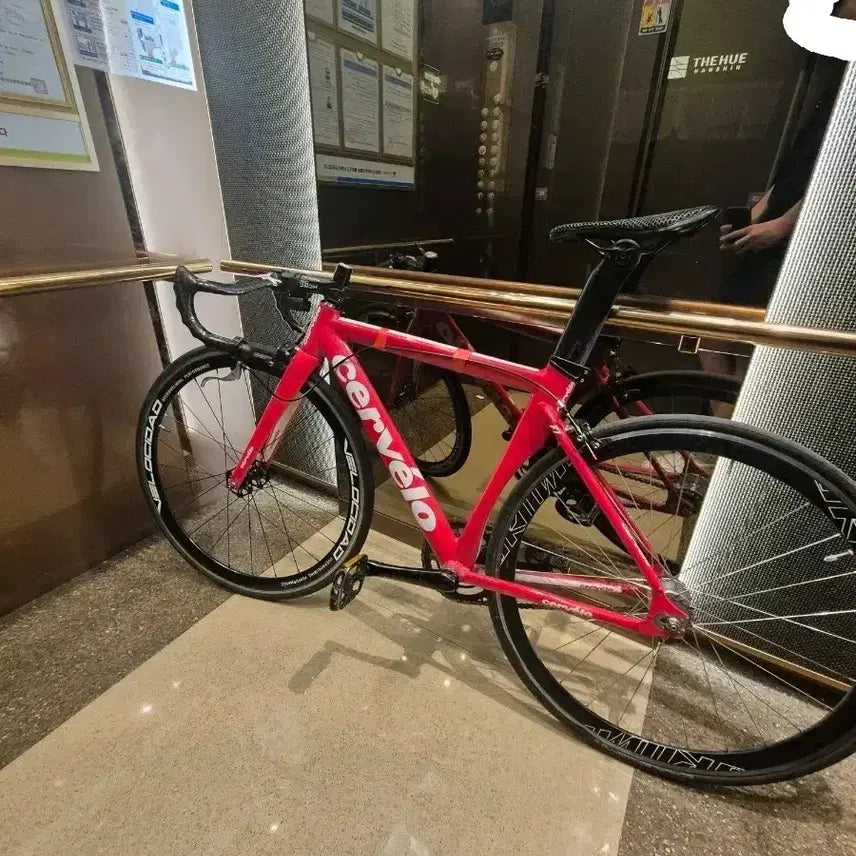 [BUNJANG] Cervelo F1 Road Bicycle (Entry-Level) / 써벨로f1