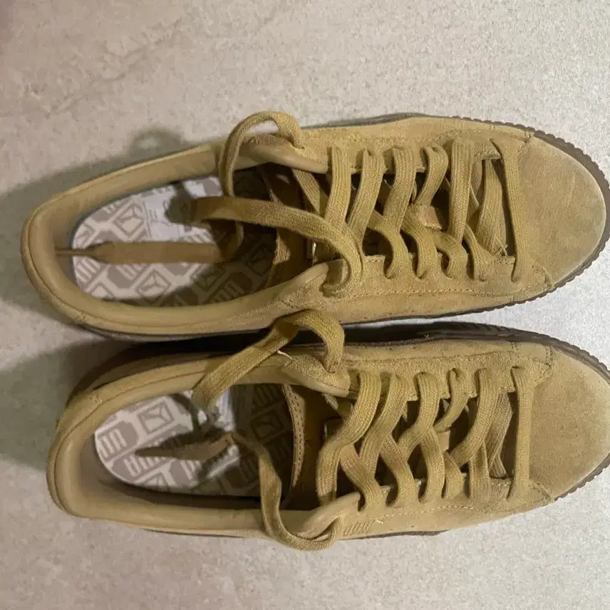 [BUNJANG] Puma Suede Platform Beige Women's Shoes Size 255 / 푸마 스웨이드 플랫폼 베이지 255 | 상태 좋음 | 정품