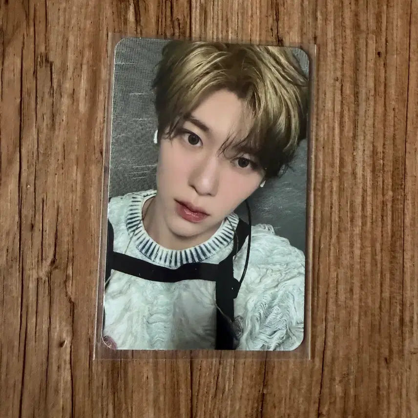 [BUNJANG] NCT WISH Sion Songbird Apple Music Fansign Photocard / 엔시티 위시 엔위시 시온 송버드 애플뮤직 팬싸 포카 양도 판매 처분