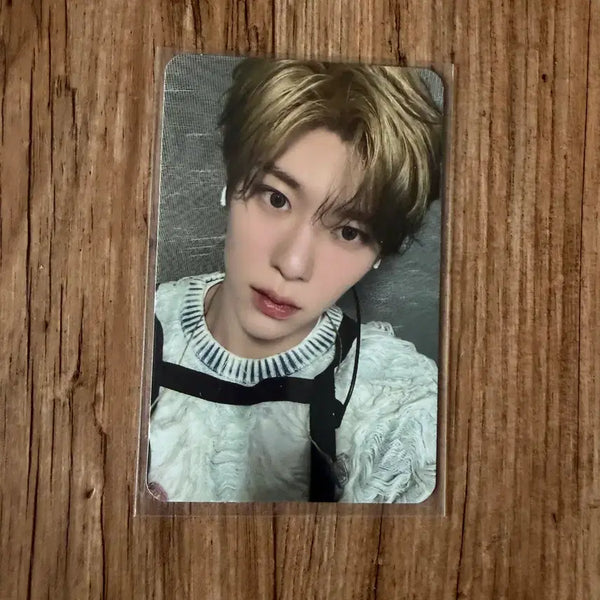 [BUNJANG] NCT WISH Sion Songbird Apple Music Fansign Photocard / 엔시티 위시 엔위시 시온 송버드 애플뮤직 팬싸 포카 양도 판매 처분