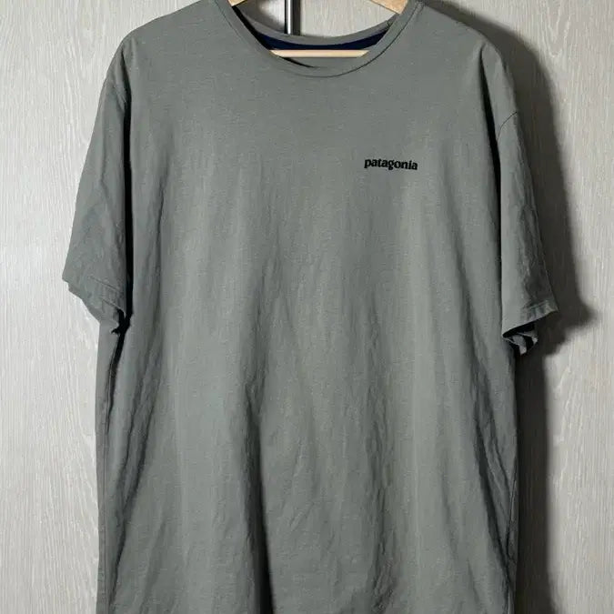 [BUNJANG] Patagonia T-Shirt Size L / 파타고니아 / 티셔츠 / L