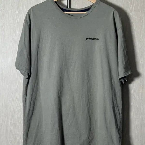 [BUNJANG] Patagonia T-Shirt Size L / 파타고니아 / 티셔츠 / L