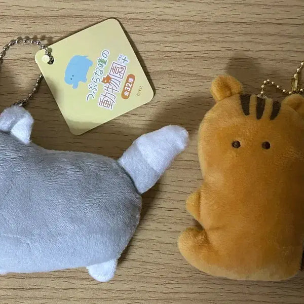 [BUNJANG] Tsuburana Hitomi Zoo Series Round-Eyed Carnivore Wolf & Squirrel Plush / 새상품)동그란 눈동자의 육식동물 동물원 츠부라나 히토미 늑대 다람쥐 대만태섭