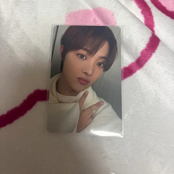 [BUNJANG] ENHYPEN Sunoo Jkoya Album Photocard / 앤팀 의주 쥬고야 앨범 포카 양도 판매