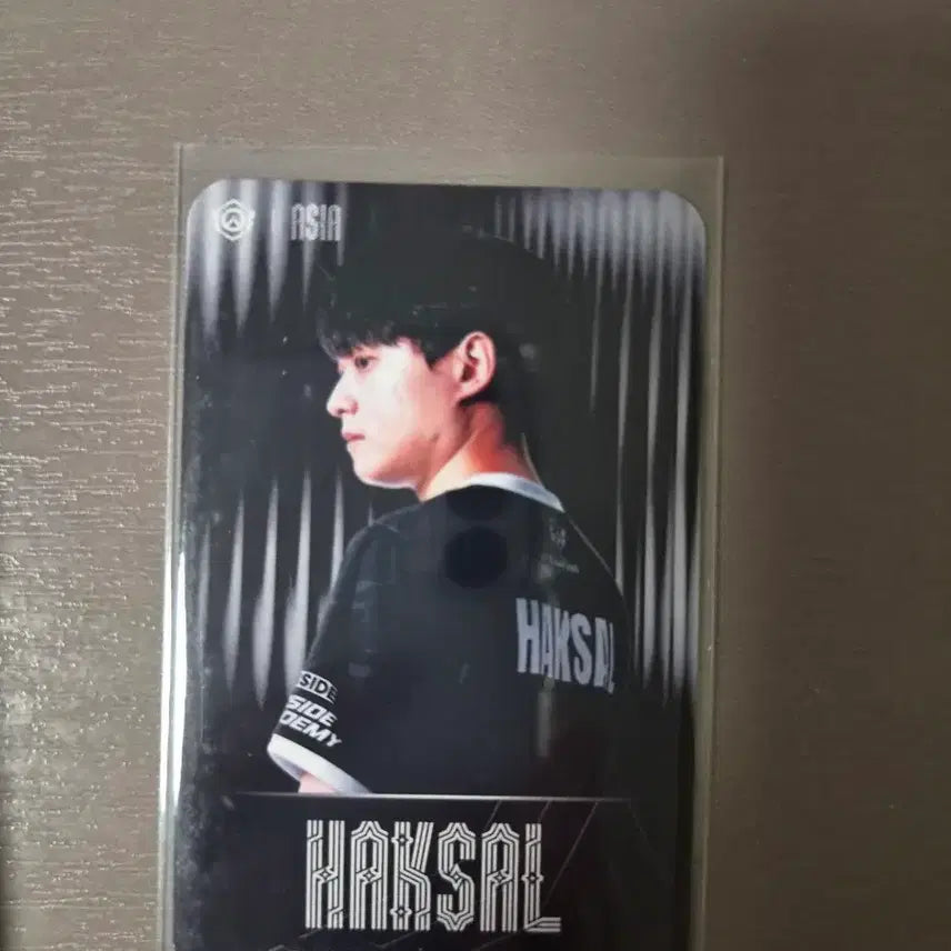 [BUNJANG] Overwatch Champions Series OWCS Haksaeng Photocard / 옵챔스 OWCS 학살 포토카드