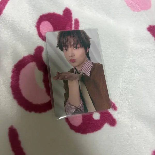 [BUNJANG] ENHYPEN Ni-ki Go In Bloom Showcase Photocard / 앤팀 의주 고인블 고인블라인드 쇼케이스 포카 팬싸 양도 판매