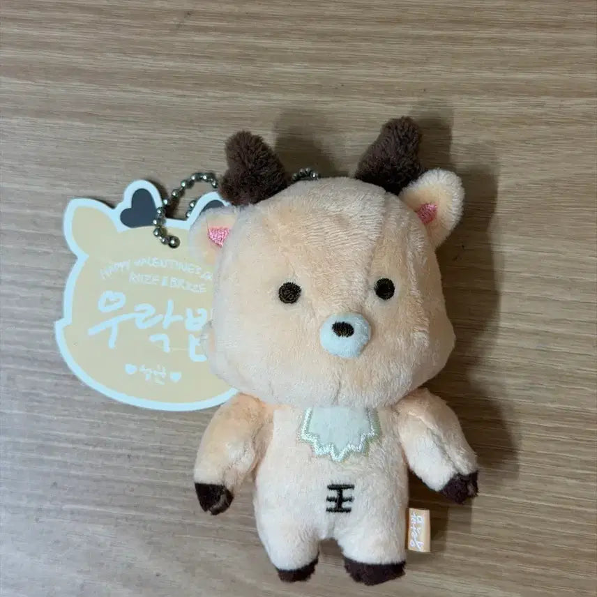 [BUNJANG] RIIZE Official Fanclub 1st Generation Fan Meeting Goods / 라이즈 1기 우락밤