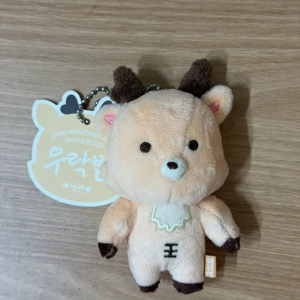 [BUNJANG] RIIZE Official Fanclub 1st Generation Fan Meeting Goods / 라이즈 1기 우락밤