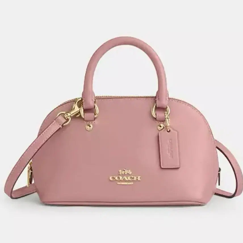 [BUNJANG] Coach Smooth Leather Top Handle Mini Bag / 코치 소가죽 탑핸들백