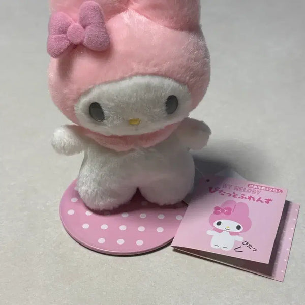 [BUNJANG] My Melody Pittotto / 마이멜로디 피탓토