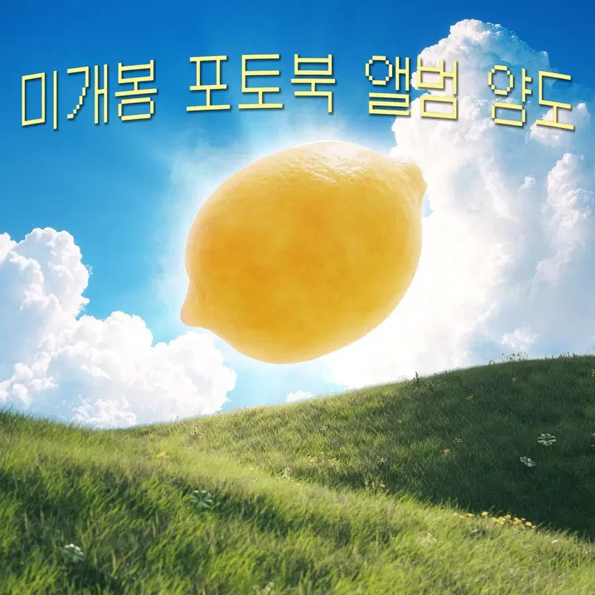 [BUNJANG] Haetsut Hatsuha Lemon Tang Photobook Album / 하츠투하츠 하투하 레몬탱 미개봉 포토북 앨범 양도