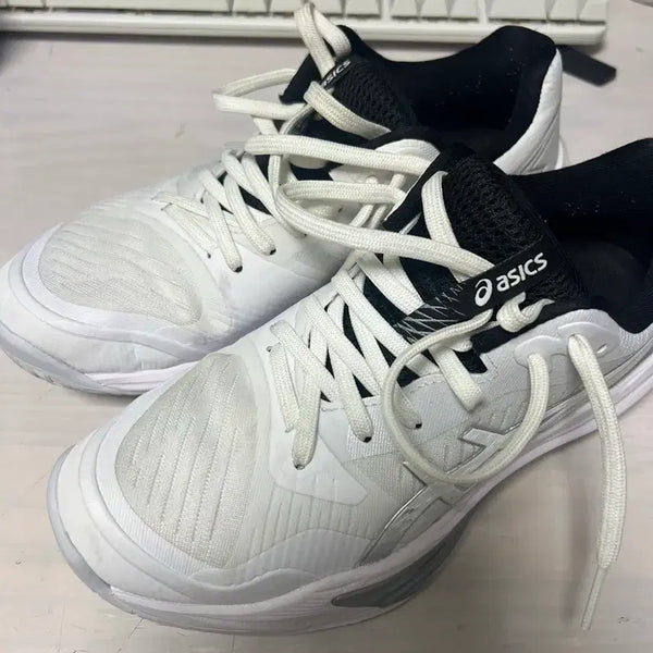 [BUNJANG] Asics Sky Elite FF 3 Shoes (250) / 아식스 스카이 엘리트 FF3 (250)