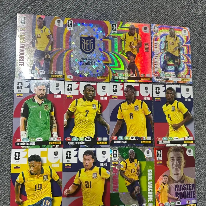[BUNJANG] Panini World Cup Card Ecuador / 파니니 월드컵 카드 에콰도르