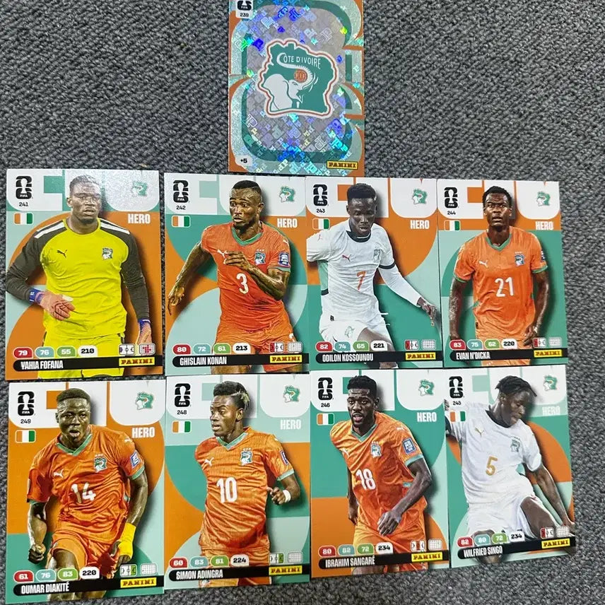 [BUNJANG] Panini World Cup Card - Ivory Coast / 파니니 월드컵 카드 코트디부아르