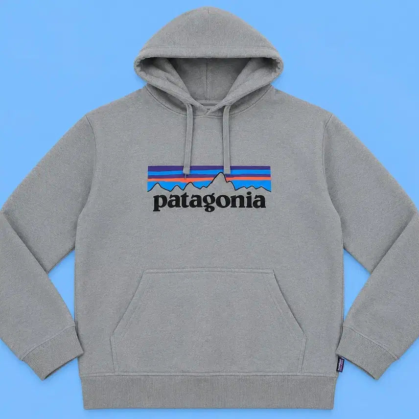 [BUNJANG] Patagonia Grey Hooded Sweatshirt / 파타고니아 그레이 후드티 S 맨투맨 집업 남여공용 티셔츠 박스티