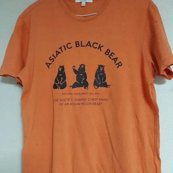 [BUNJANG] TOPTEN Orange Short-Sleeve T-Shirt with Black Bear Print (M) / Pink Short-Sleeve T-Shirt (L) - Bundle Set Available / TOPTEN 탑텐 오렌지 반팔티 아시아 검은곰 프린트M/분홍L개별/일괄
