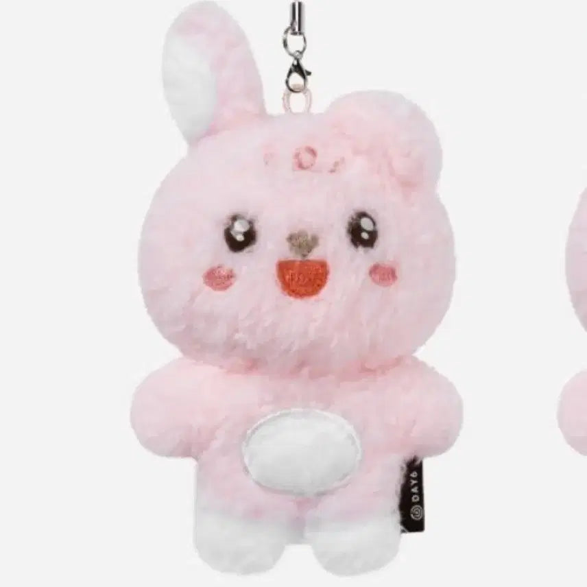 [BUNJANG] DAY6 Wonpil Unfiltered Secret Keyring / [새상품 원가양도] 언필터드 시크릿키링 필끼 쁘멀 데이식스 원필