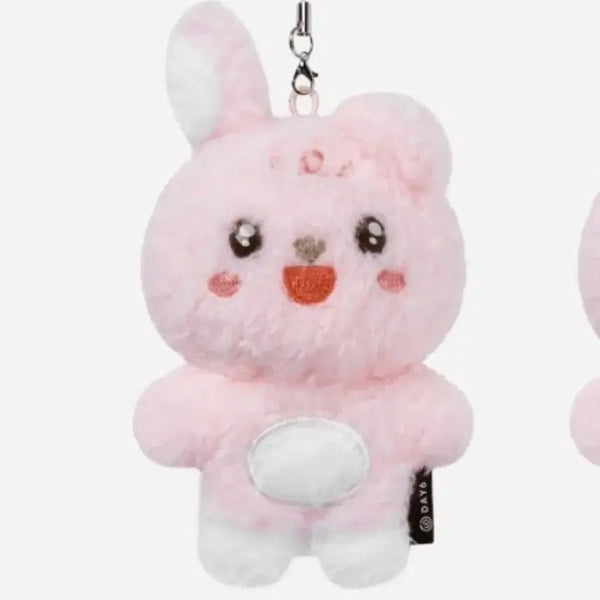 [BUNJANG] DAY6 Wonpil Unfiltered Secret Keyring / [새상품 원가양도] 언필터드 시크릿키링 필끼 쁘멀 데이식스 원필
