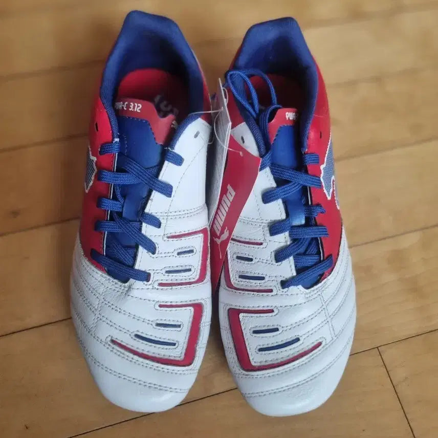 [BUNJANG] Puma Soccer Cleats 255mm / 푸마 축구화 255mm