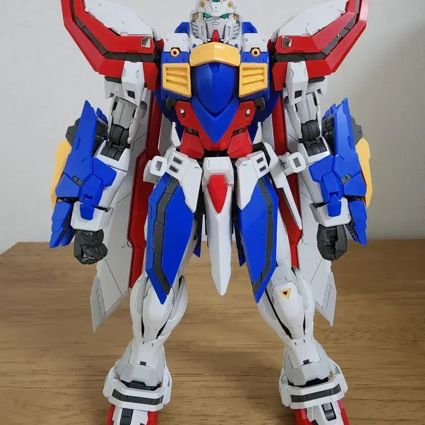 [BUNJANG] Fat Cat 1/100 God Gundam Model Kit (Assembled) / fat cat 1/100 갓건담 가조립 팝니다
